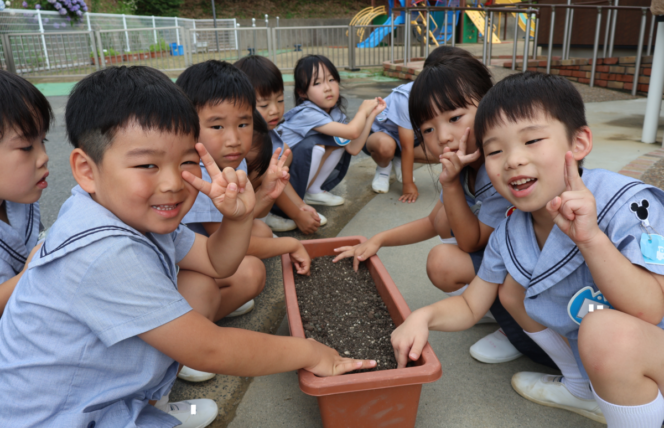 コスモスの種まき (第２すずかきしおか幼稚園)